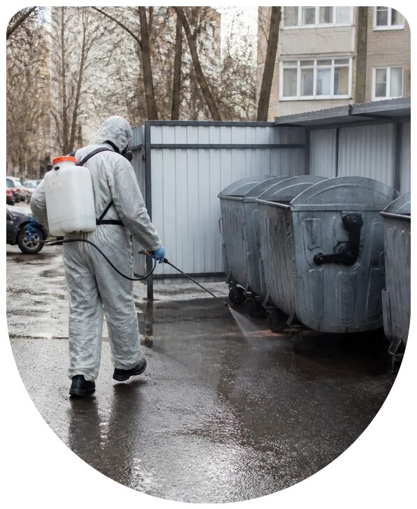Профессиональная дезинфекция контейнерной площадки в Петропавловске-Камчатском